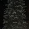 Download track Delsym, Pt. 2