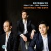 Download track Piano Trio No. 5 In D Major, Op. 70 No. 1: I. Allegro Vivace E Con Brio