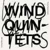 Download track Variations For Wind Quintet, Op. 21 Ih. Var. 7