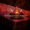 Download track Relinquish To Harmony