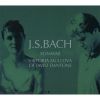 Download track 2. Sonata In B Minor For Violin And Harpsichord BWV 1014: II. Allegro