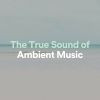Download track Razor-Sharp Ambient