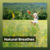 Download track Qualitied Ambient