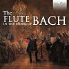 Download track Sonata In A Major, BWV 1032: III. Allegro
