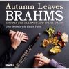 Download track 06 - Sonata For Clarinet And Piano In E-Flat Major, Op. 120, No. 2 - II. Allegro Appassionato