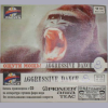 Download track Can You Hear The Voice Of Buddha (Confessio Radio Mix)