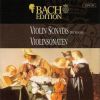 Download track Sonata No. 1 In B Minor BWV 1014 - II Allegro