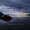 Download track Symphony Of Lights