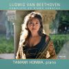 Download track Piano Sonata No. 18 In E-Flat Major, Op. 31 No. 3 The Hunt II. Scherzo. Allegretto Vivace