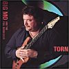 Download track Torn