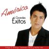 Download track Traicionera