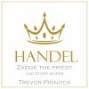 Download track IV. Andante Non Presto