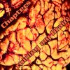 Download track Ruining My Brain