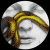 Download track Camelot