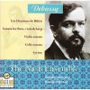 Download track 01 - Sonata For Violin And Piano. I. Allegro Vivo
