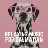 Download track Cozy Couch And A Soothing Sound For My Dog