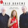 Download track The Seasons, Op. 37a: No. 4, April. Snowdrop