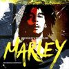 Download track Three Little Birds