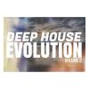 Download track Why So Serious - Deep Sequency Mix