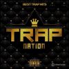 Download track Indestructable