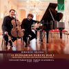 Download track Hungarian Dances, Book No. 1 In D Minor, WoO1 2. Allegro Non Assai - Vivace