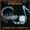 Download track Holiday