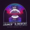 Download track Intergalactic Gentrification