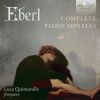 Download track Grand Sonata Charactéristique In F Minor, Op. 12: II. Allegro Agitato