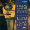 Download track Mahler: Symphony In D Minor: IV. Zweite Abteilung - IV. Sehr Langsam. Misterioso. Durchaus Ppp