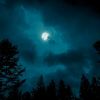 Download track Soft Harmony Encourages Rest