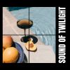 Download track Urban Night Pulse