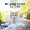 Download track Best Friends Forever