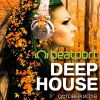 Download track The Voice Of Dru (Original Mix)