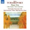 Download track Solo Cello Suite In D Minor: IV. Capriccio. Allegro