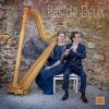 Download track La Harpe Enchantée: II. The Spark Caught, The Fire Glows