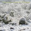 Download track A Long December