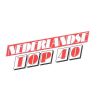 Download track Stop This Flame
