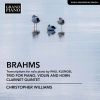 Download track Trio For Violin, Horn & Piano In E-Flat Major, Op. 40 (Arr. P. Klengel For Piano) IV. Finale. Allegro Con Brio