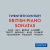 Download track Piano Sonata In D Minor: II. Theme And Variation 1