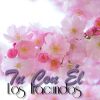 Download track Calla