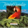 Download track Tropical Rain