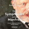 Download track 11. Symphony No. 3 In D Major, Op. 29, TH 26 Polish II. Allegro Moderato E Semplice