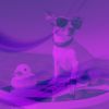 Download track Inspiring Relaxing Your Dog