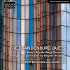 Download track 02. Brandenburg Concerto No. 1 In F Major, BWV 1046 (Arr. E. Bindman For Piano 4 Hands) - II. Adagio