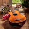 Download track Delicate Guitar Notes