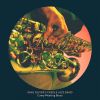 Download track Workingman Blues