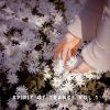 Download track Bloom For You (Original Mix)