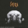 Download track Lizard Skin