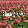 Download track Say Yes Plase