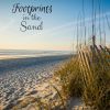 Download track Sunlight On The Creek